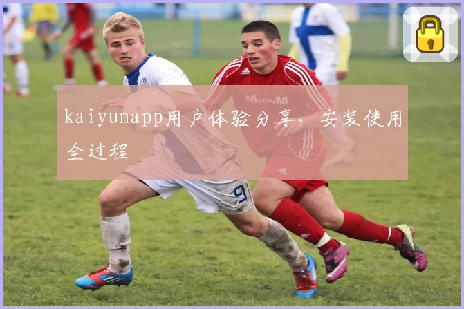 kaiyunapp用户体验分享，安装使用全过程