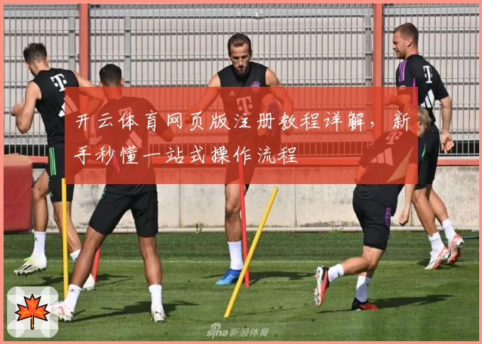 开云体育网页版注册教程详解,新手秒懂一站式操作流程